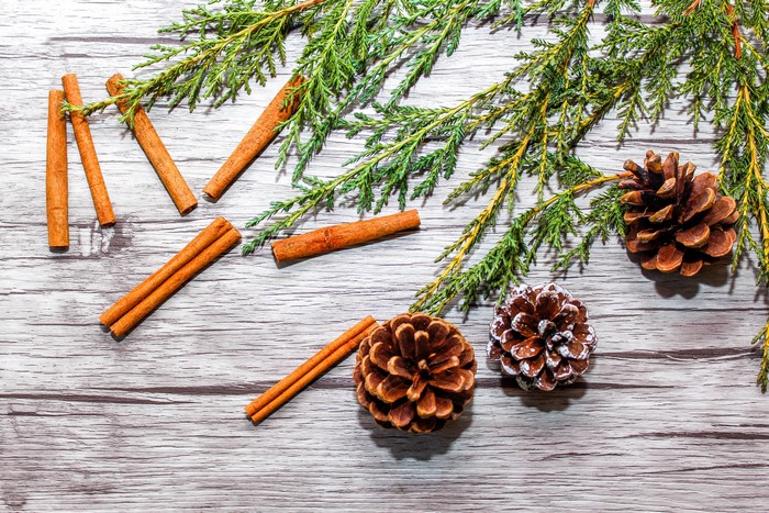 Cinnamon sticks and pine cones on wood planks