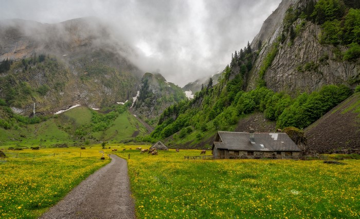 Mountain valley with a stone house and yellow flowers