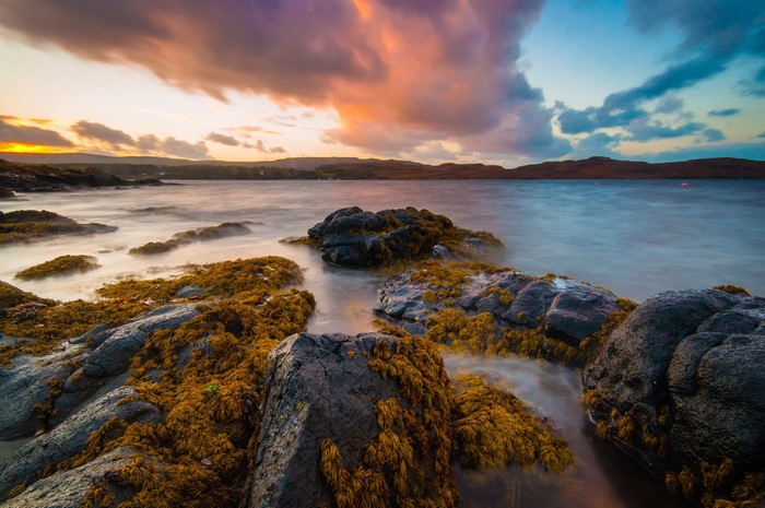 Rocky Shoreline with Kelp and Dramatic Sunset Sky