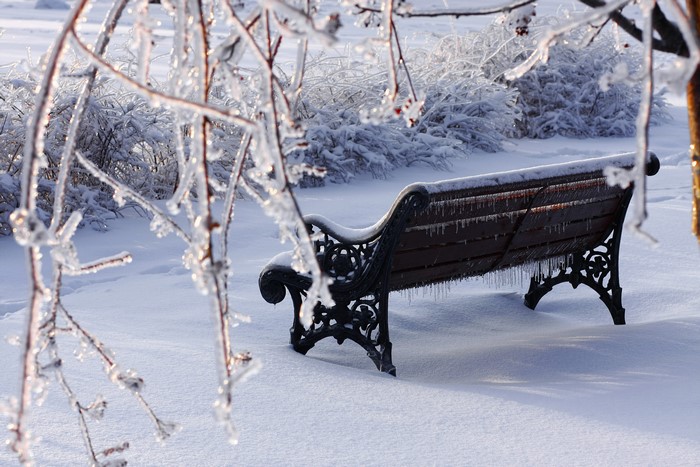 Winter scene with a snow-covered bench and ice-laden branches