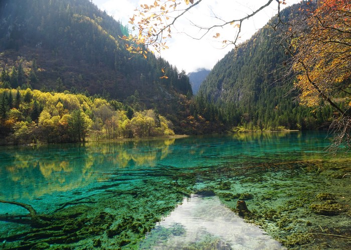 Autumn Lake in Jiuzhaigou Park, Sichuan, China