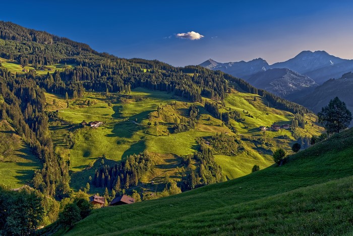 Mountain village with forests and grasslands in Austria
