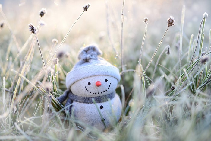 Snowman with winter hat and scarf in frosted grass