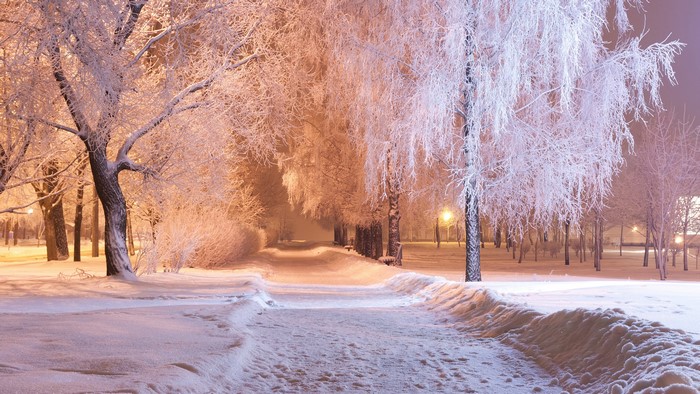 Winter park path at night with frosted trees