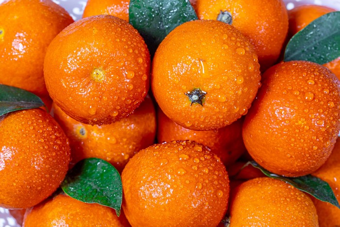Close-up of wet tangerines with green leaves
