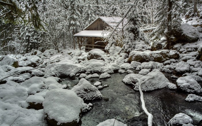 Snowy forest with a stream and a wooden structure