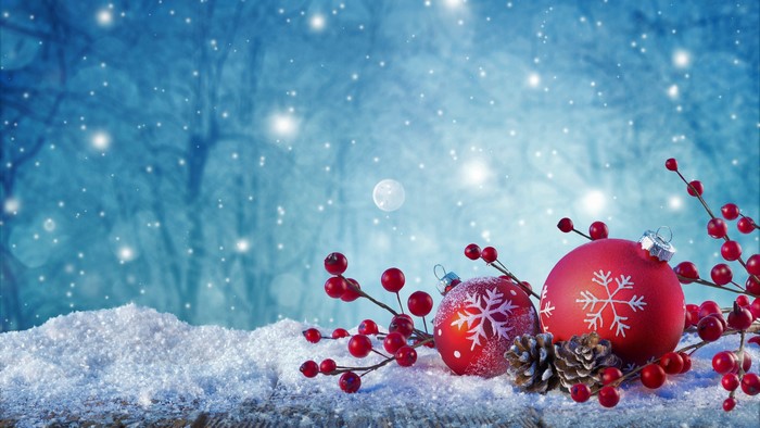 Christmas ornaments and berries in snow