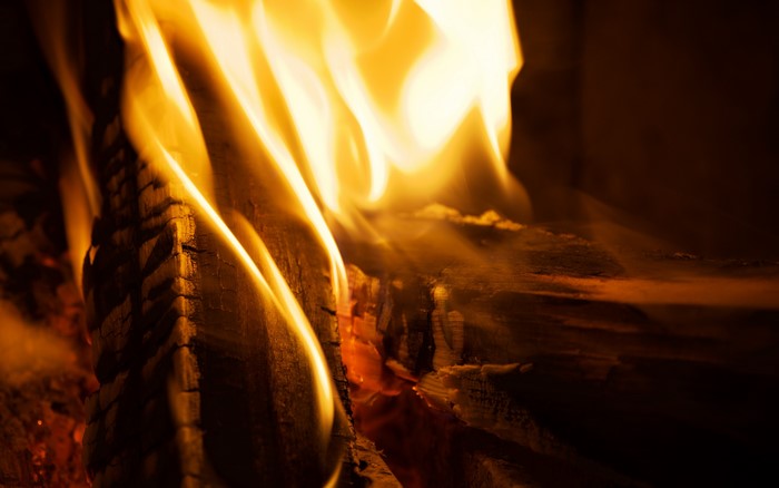 Fire burning wood closeup