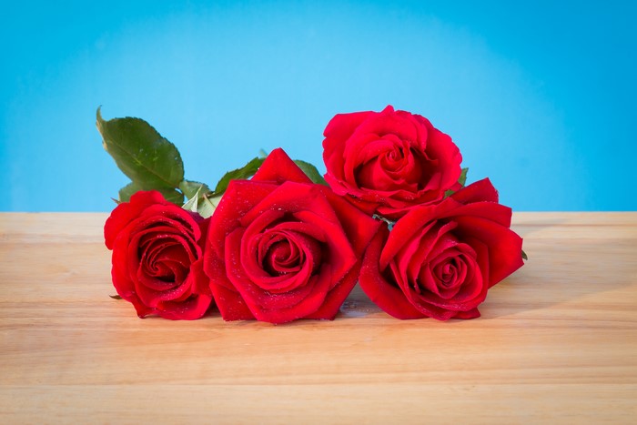 Four red roses on a wooden table