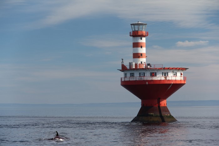 Lighthouse Tadoussac and Orca in Canada