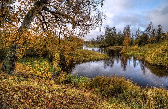 Autumn landscape along the Vuoksa River in Priozersk, Russia