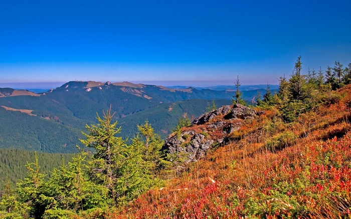 Mountain landscape with evergreen trees and autumn foliage