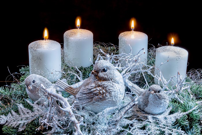 Four lit candles with birds and evergreen branches