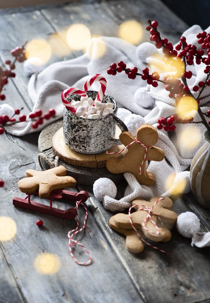 Christmas hot chocolate with gingerbread cookies and candy canes