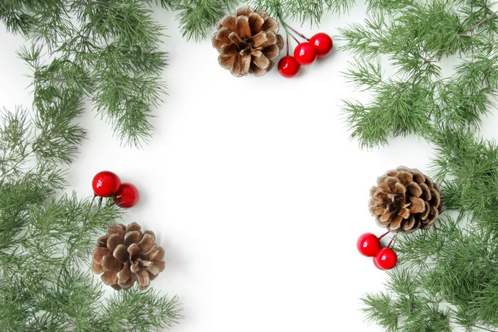 Christmas branches with pine cones and red berries on white background