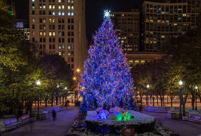 Christmas tree in Chicago at night