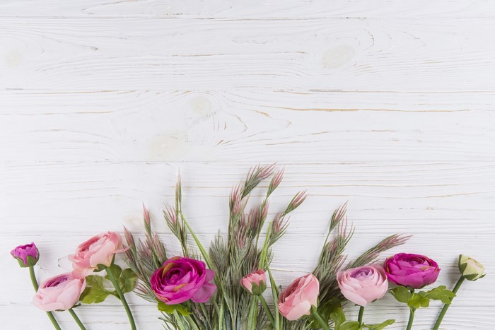 Pink and purple ranunculus flowers on white wood planks