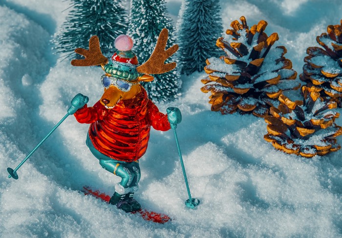 Deer skiing in snow with pine cones and trees