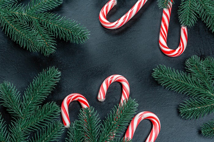 Christmas candy canes and fir branches on a dark background