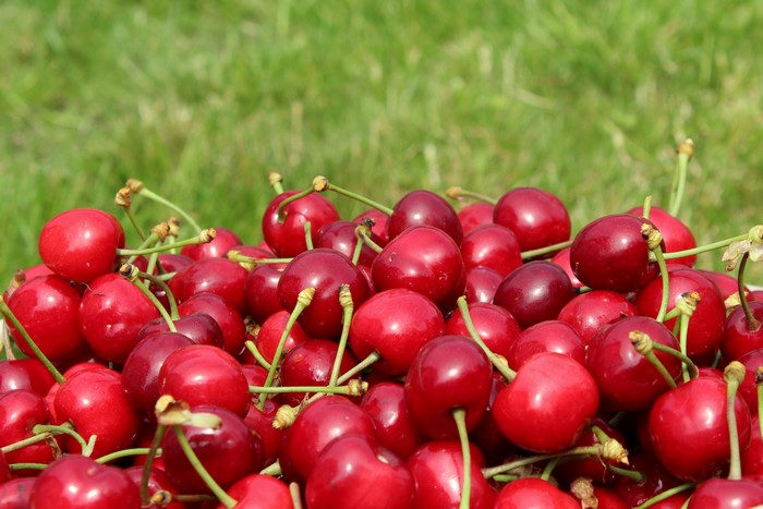 Pile of Cherries on Green Grass