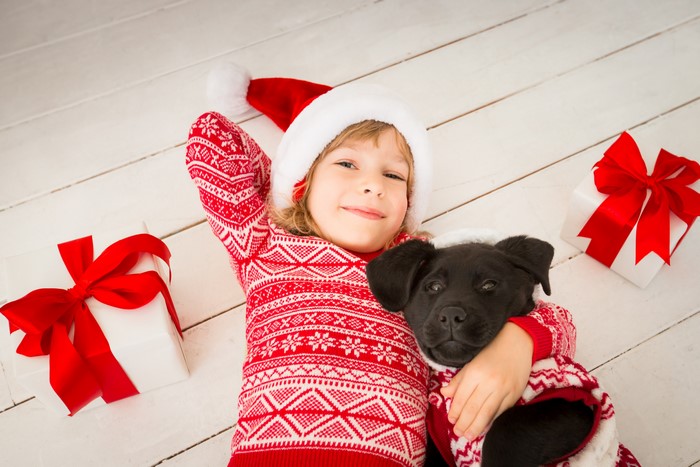 Girl in Santa hat with puppy and Christmas gifts