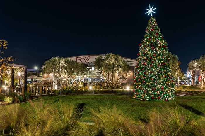 Christmas Tree in Long Beach, California at Night