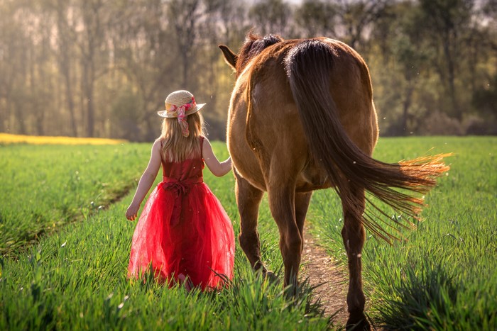 Girl in red dress walking with horse in grassy field