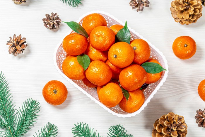 Christmas Mandarins with Pine Cones and Fir Branches
