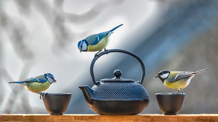 Three Birds on a Kettle and Mugs