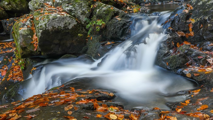 Waterfall in Autumn with Foliage and Stones
