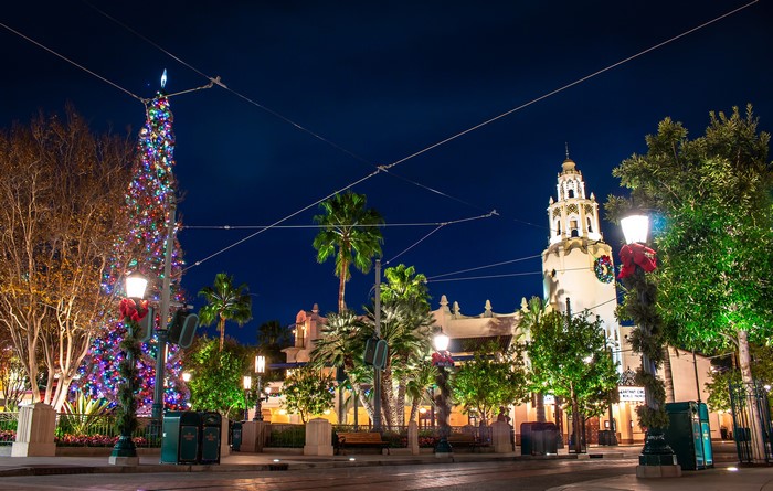 Christmas Tree and Tower at Night in California