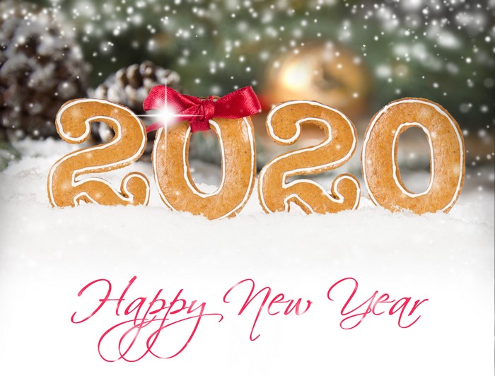 Happy New Year 2020 Gingerbread Cookies