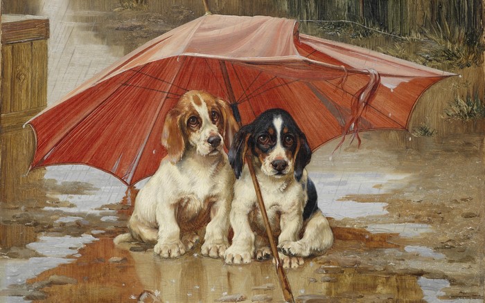 Two puppies under an umbrella in the rain