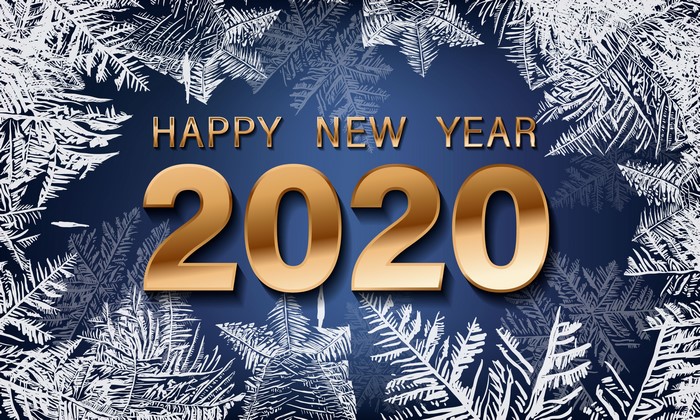 Happy New Year 2020 with Snowflakes