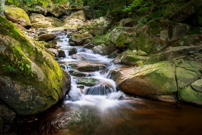 Stream flowing over mossy stones in a forest