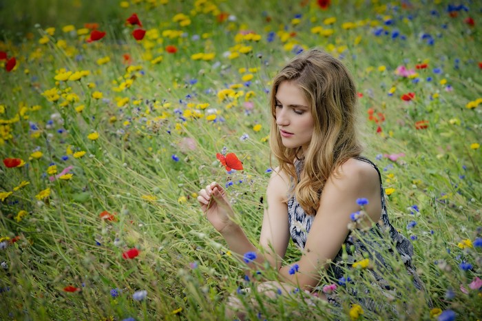 4K Viktoria sitting in a field of wildflowers