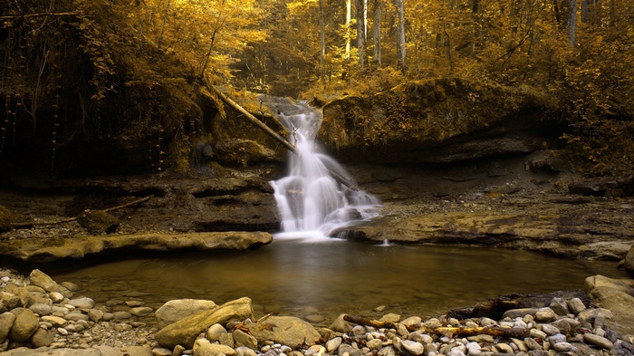 Waterfall in a forest with autumn foliage