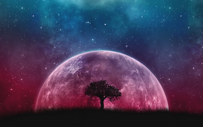Planet and Tree Under Starry Sky