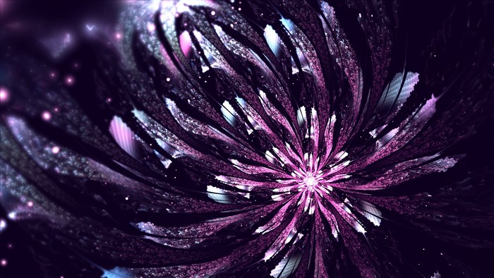 4K Violet Fractal Flower Closeup