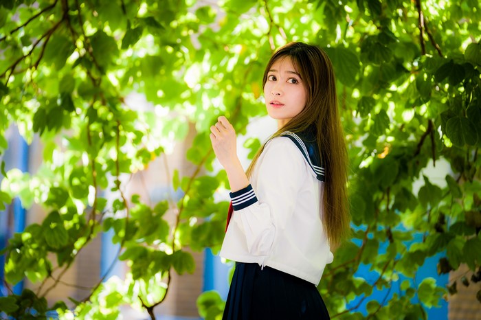 Asian Bokeh Branches Foliage Brown haired