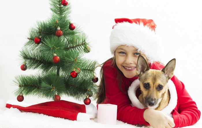 Girl in Santa hat with dog and Christmas tree