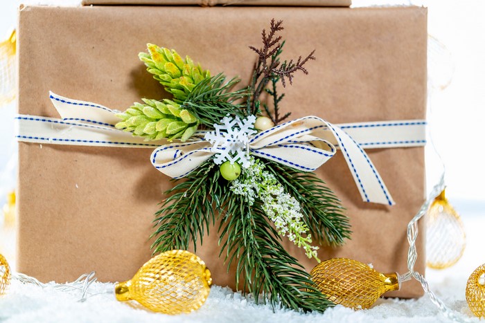 Christmas gift with pine branches and fairy lights