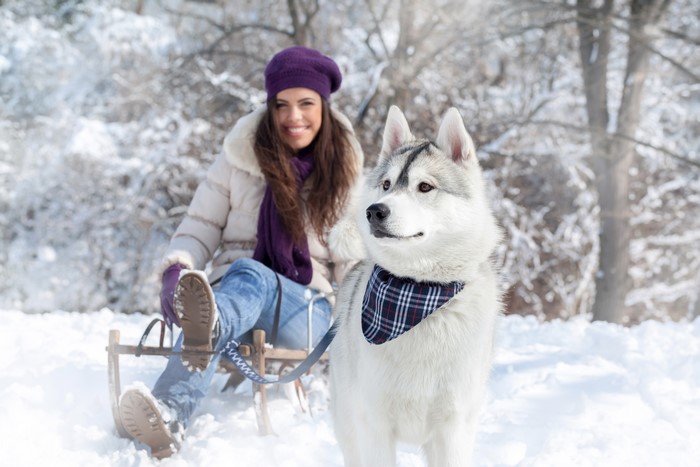 Woman and Husky Dog on a Sled in Snow