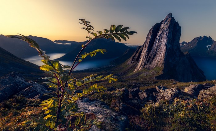 Segla mountain and fjord in Troms, Norway