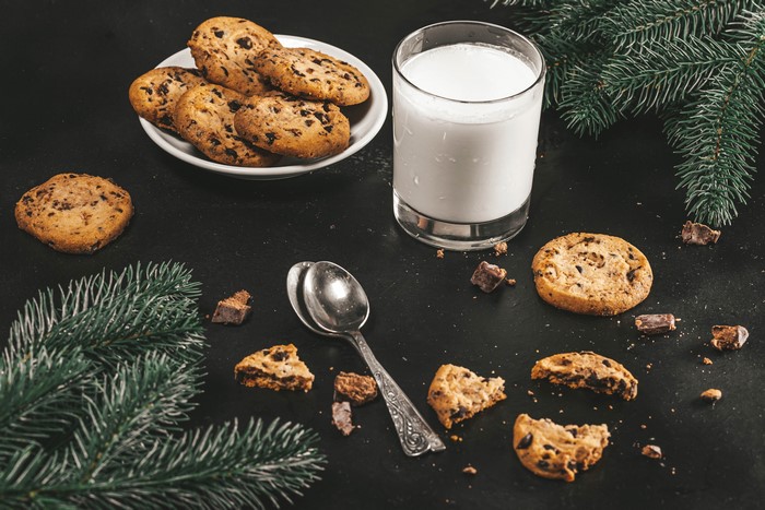 Chocolate chip cookies and milk with pine branches