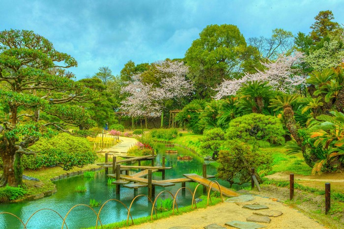 Okayama Korakuen Park with Pond and Cherry Blossoms