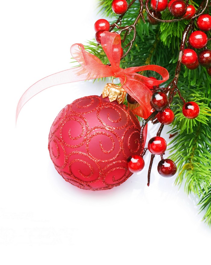 Red Christmas Ornament with Berries and Pine