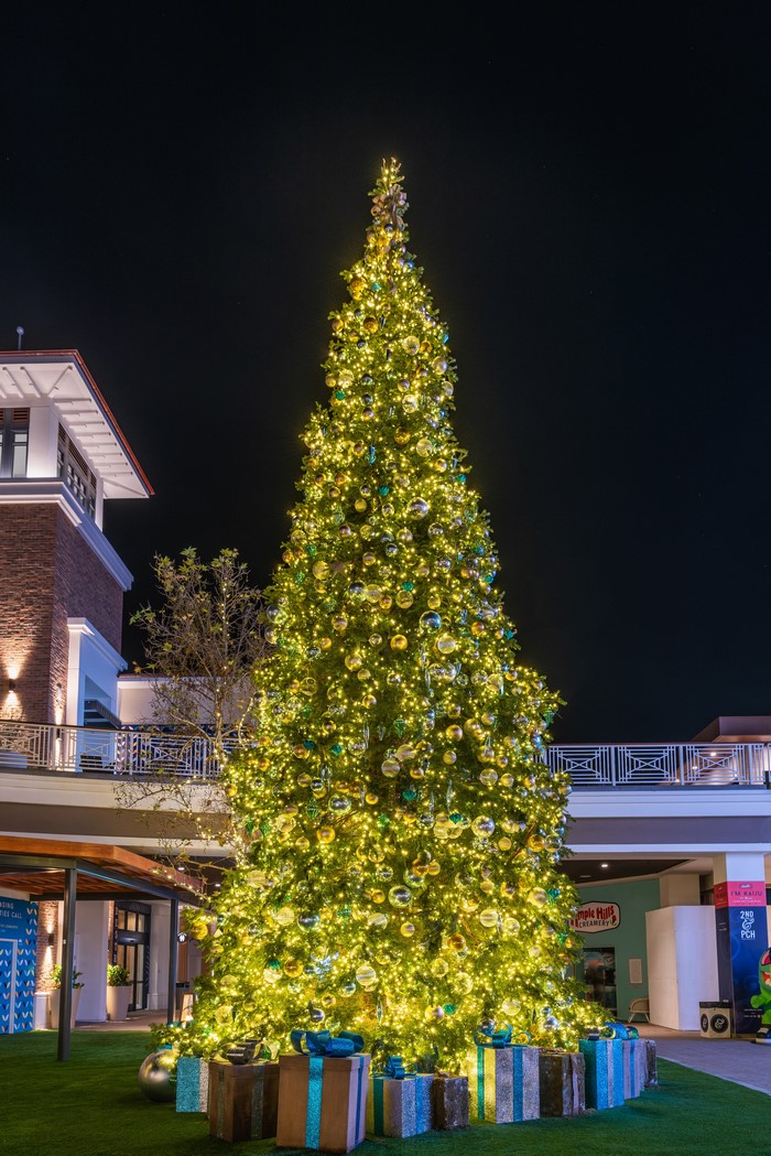 Decorated Christmas Tree with Gifts at Night