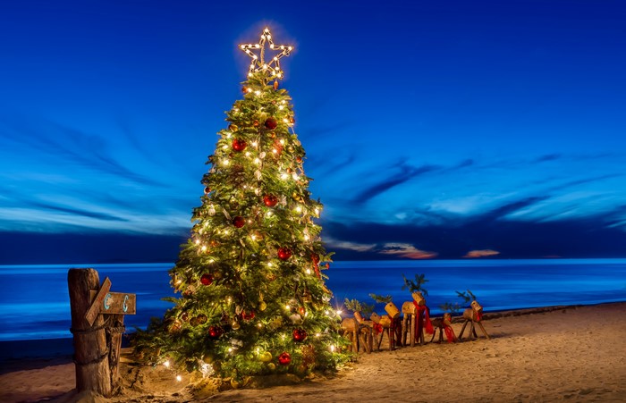 4K Christmas Tree and Reindeer on Beach at Dusk