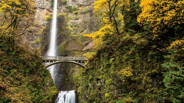 Multnomah Falls in Autumn with Historic Bridge